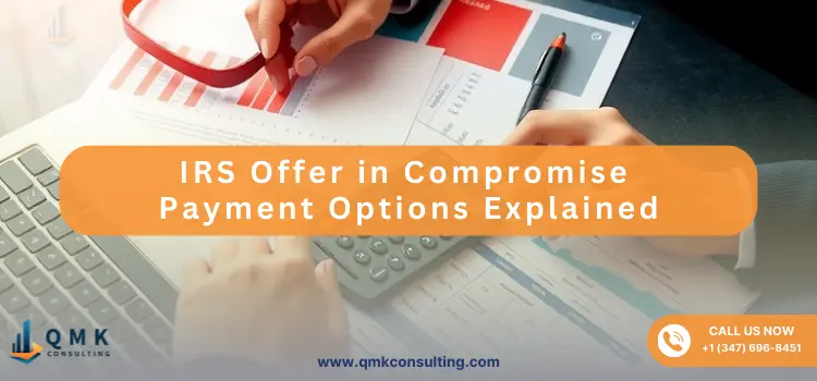 IRS Offer in Compromise Payment Options Explained