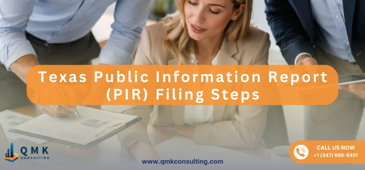 Texas Public Information Report (PIR) Filing Steps